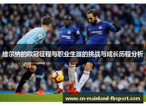 维尔纳的欧冠征程与职业生涯的挑战与成长历程分析