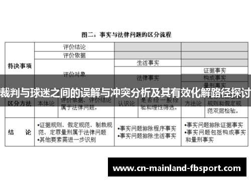 裁判与球迷之间的误解与冲突分析及其有效化解路径探讨