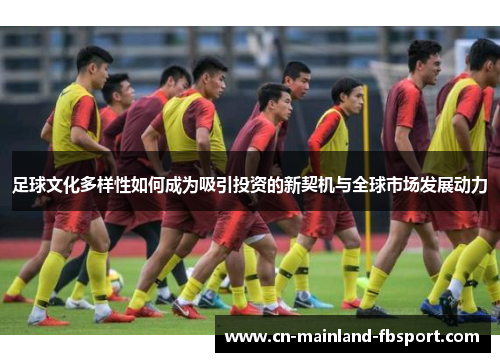 足球文化多样性如何成为吸引投资的新契机与全球市场发展动力 足球文化多样性如何成为吸引投资的新契机与全球市场发展动力