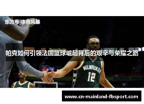 帕克如何引领法国篮球崛起背后的艰辛与荣耀之路