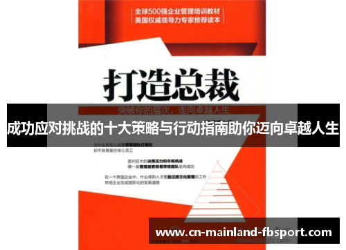 成功应对挑战的十大策略与行动指南助你迈向卓越人生