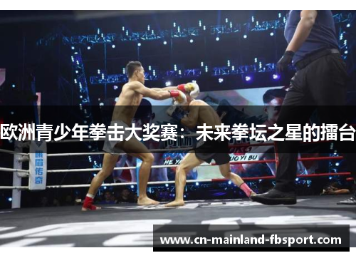 欧洲青少年拳击大奖赛:未来拳坛之星的擂台 欧洲青少年拳击大奖赛:未来拳坛之星的擂台