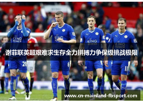 谢菲联英超艰难求生存全力拼搏力争保级挑战极限 谢菲联英超艰难求生存全力拼搏力争保级挑战极限